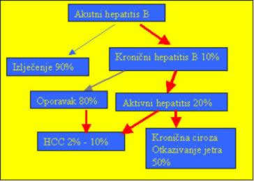 Prirodni tijek hepatitis B virusne bolesti i prognoza